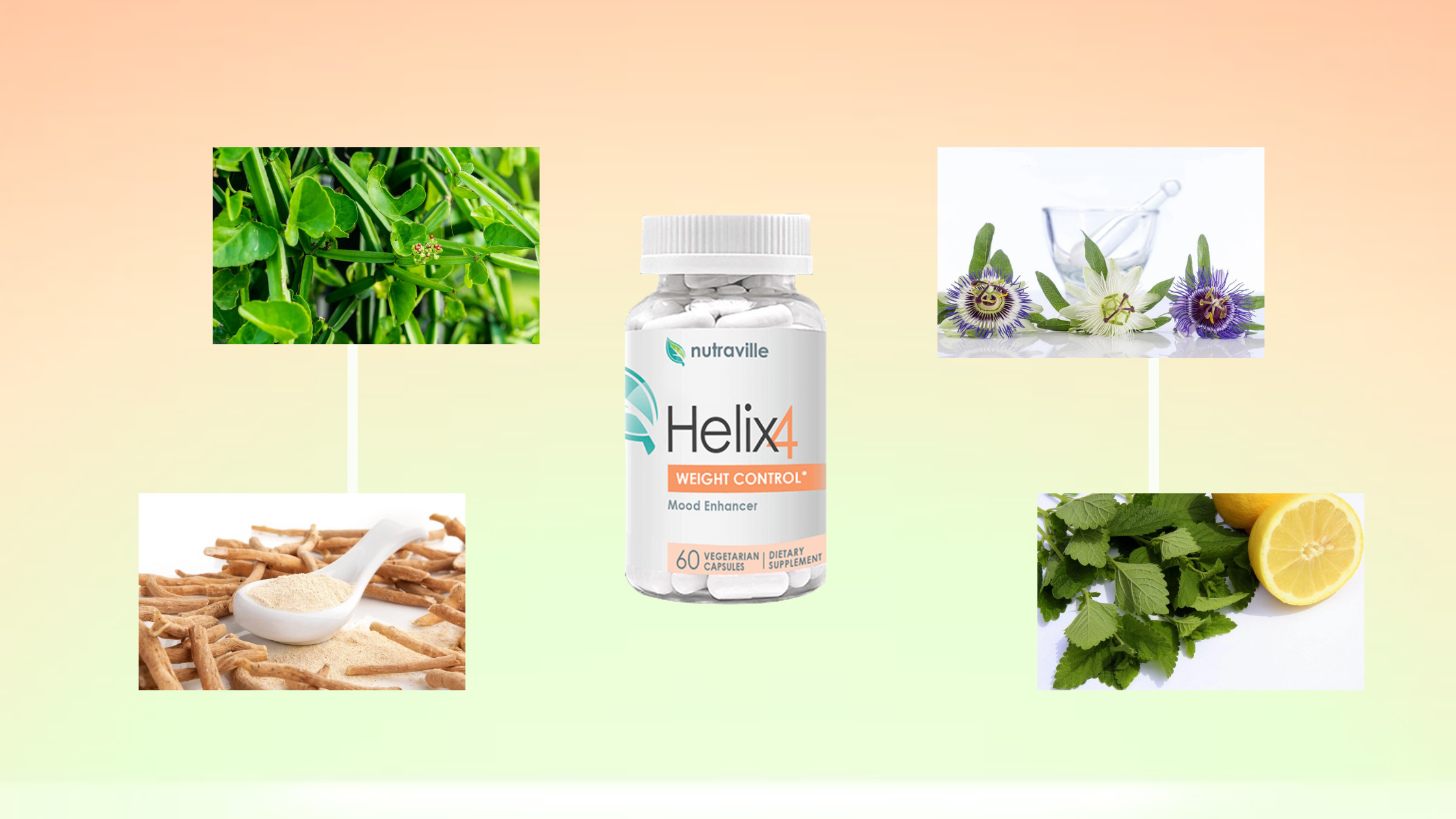 Helix 4